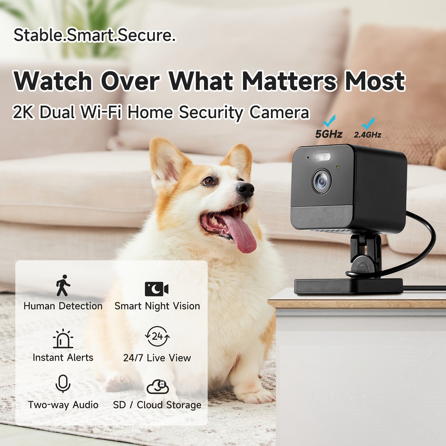 2K Dual Wi-Fi Home Security Camera with a dog on a couch in the background