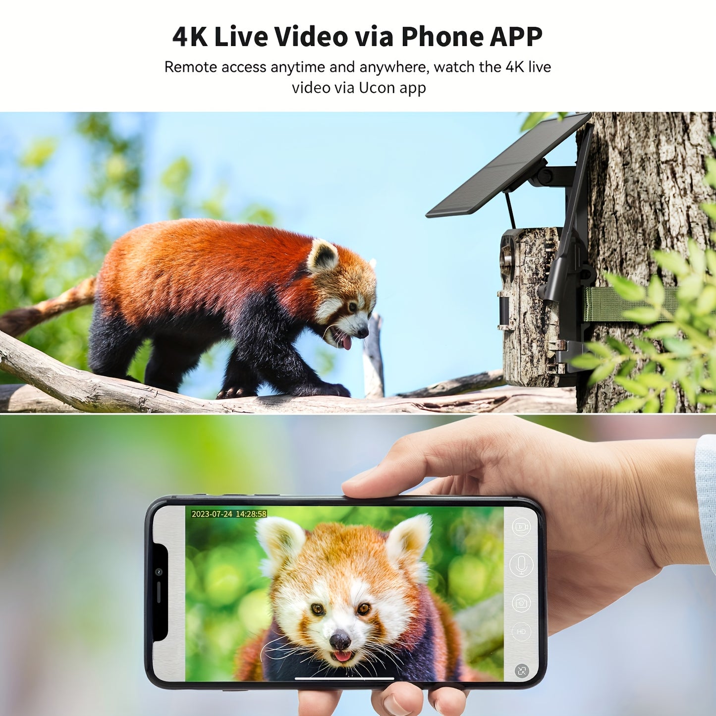 4K Hunting Trail Camera with 4G Live View - Solar Powered, 0.2s Trigger & Auto Night Vision