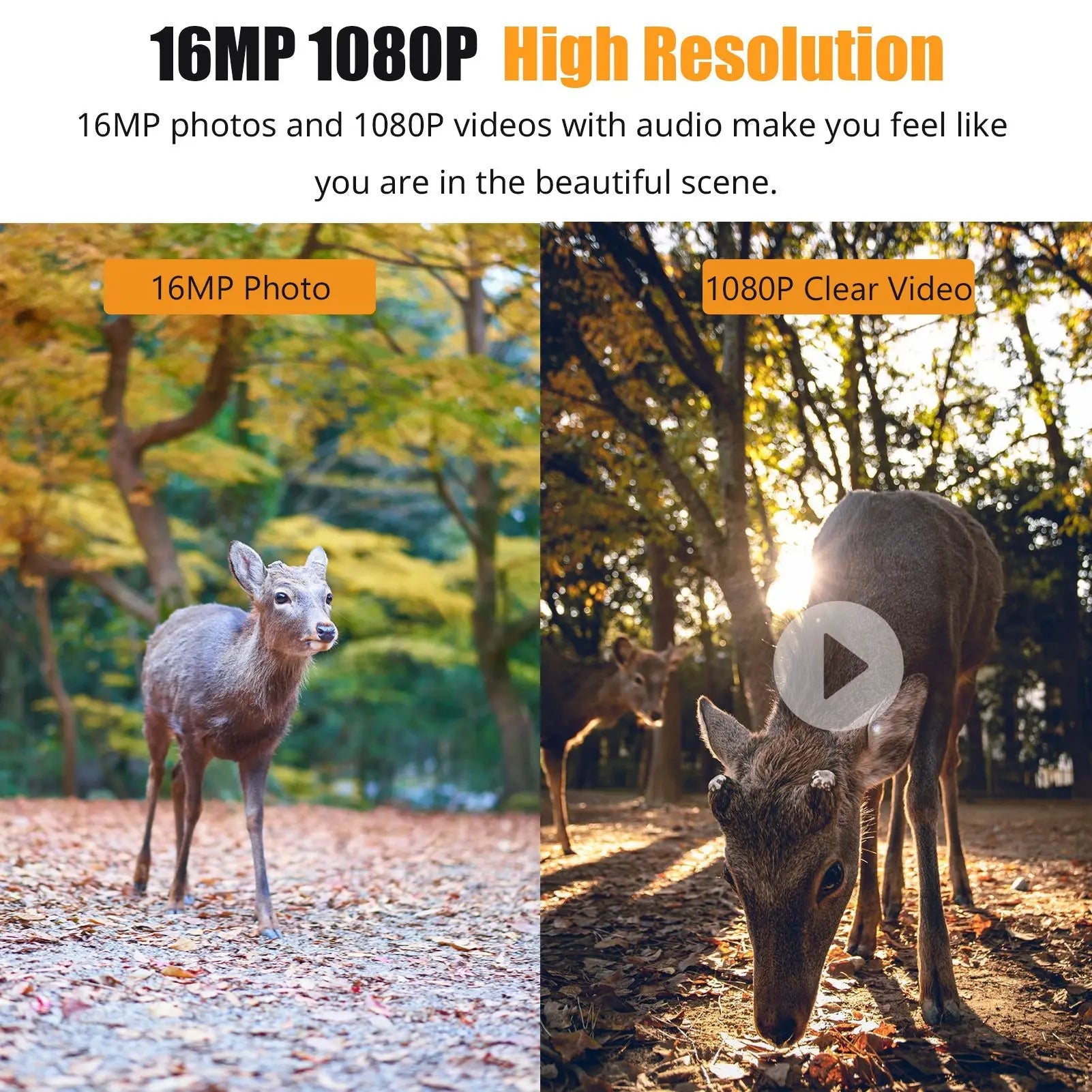 Moktan Sabai 1080P Trail Camera 16MP Night Vision Wildlife Hunting Camera IP66 Waterproof