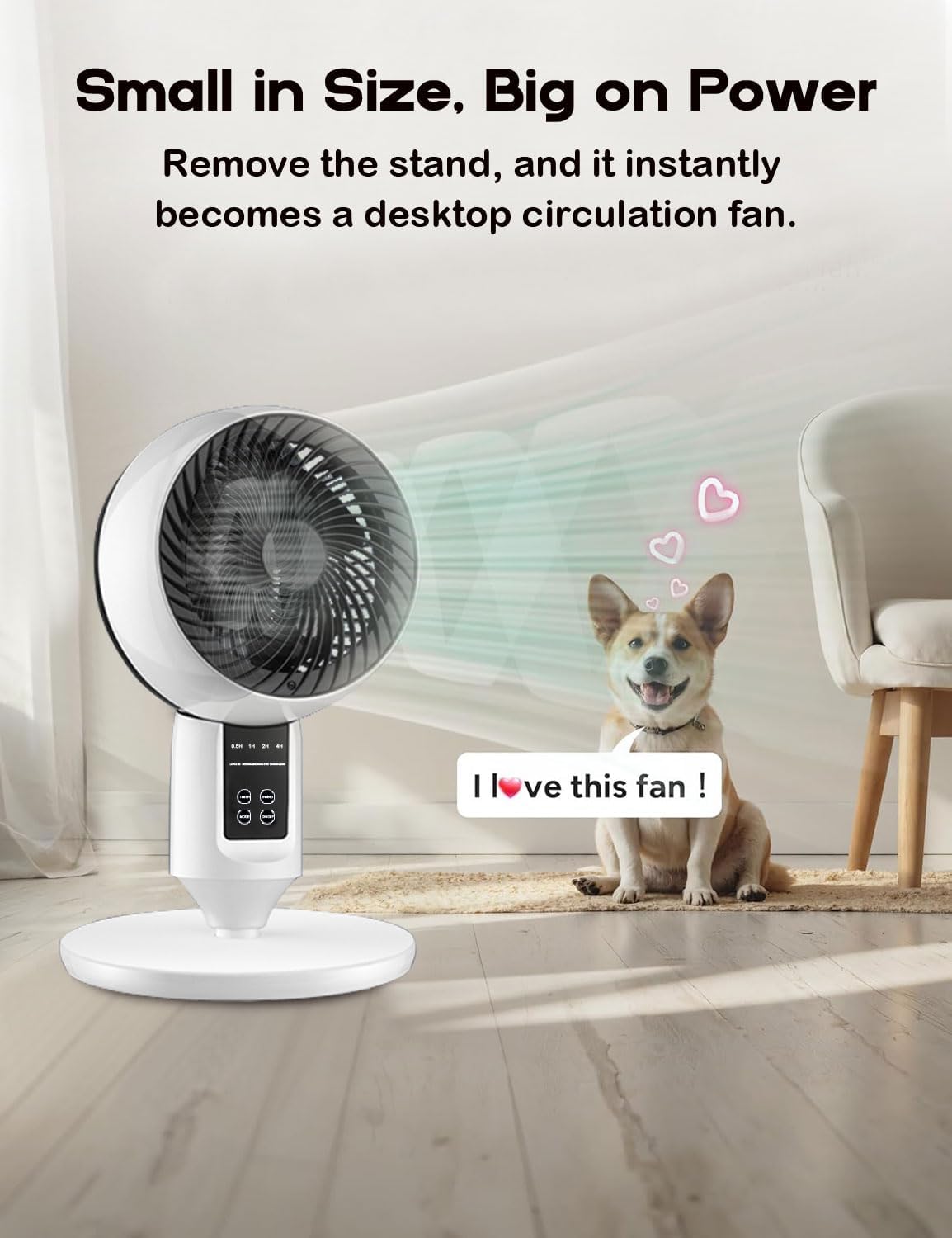 Moktan Sabai Adjustable Pedestal Fan with Remote Control | 3D Oscillation for Quiet Cooling