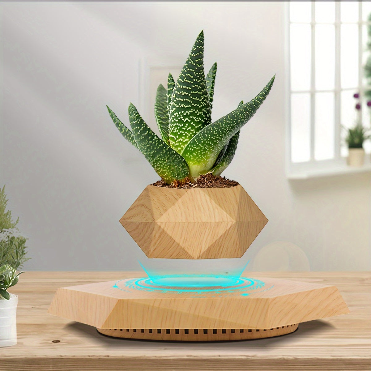 Moktan Sabai Magnetic Levitating Plant Pot – Rotating Floating Geometric Bonsai Planter Indoor