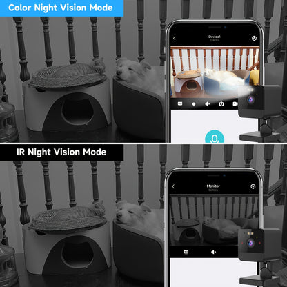 Comparison of Color Night Vision and IR Night Vision modes on a smartphone app displaying a dog in a pet bed.