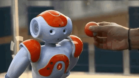 Moktan Sabai Advanced Humanoid AI Companion Robot for Adults with Multi-Sensory Interaction and Global Communication