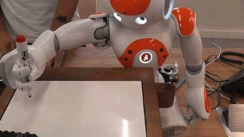 Moktan Sabai Advanced Humanoid AI Companion Robot for Adults with Multi-Sensory Interaction and Global Communication