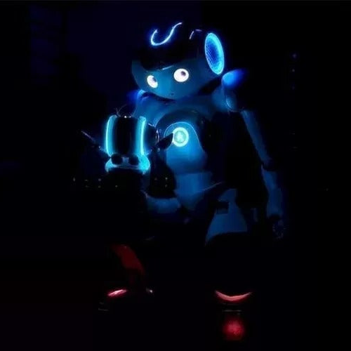 Moktan Sabai Advanced Humanoid AI Companion Robot for Adults with Multi-Sensory Interaction and Global Communication