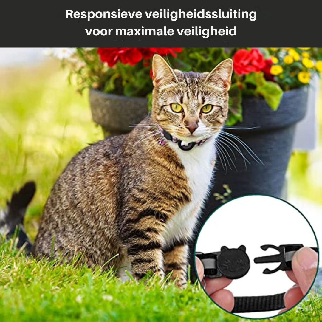 Moktan Sabai Reflective Cat Collar with GPS Tracker Holder Breakaway Safety Collar