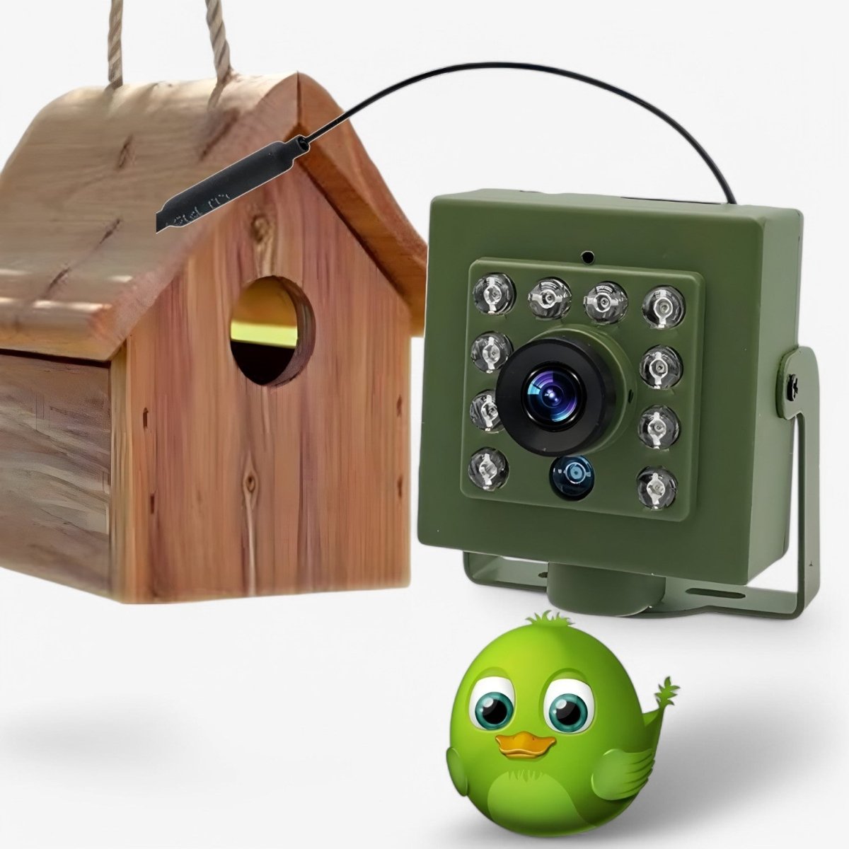 Moktan Sabai 1080P HD Wildlife Camera Bird Watching WiFi Outdoor IP66 Night Vision Camera