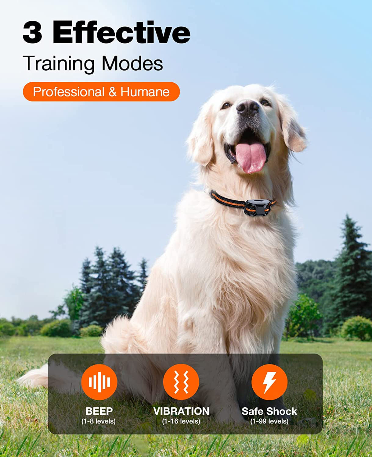 Moktan Sabai NovaPace Remote Dog Training Collar 1000m Waterproof Rechargeable