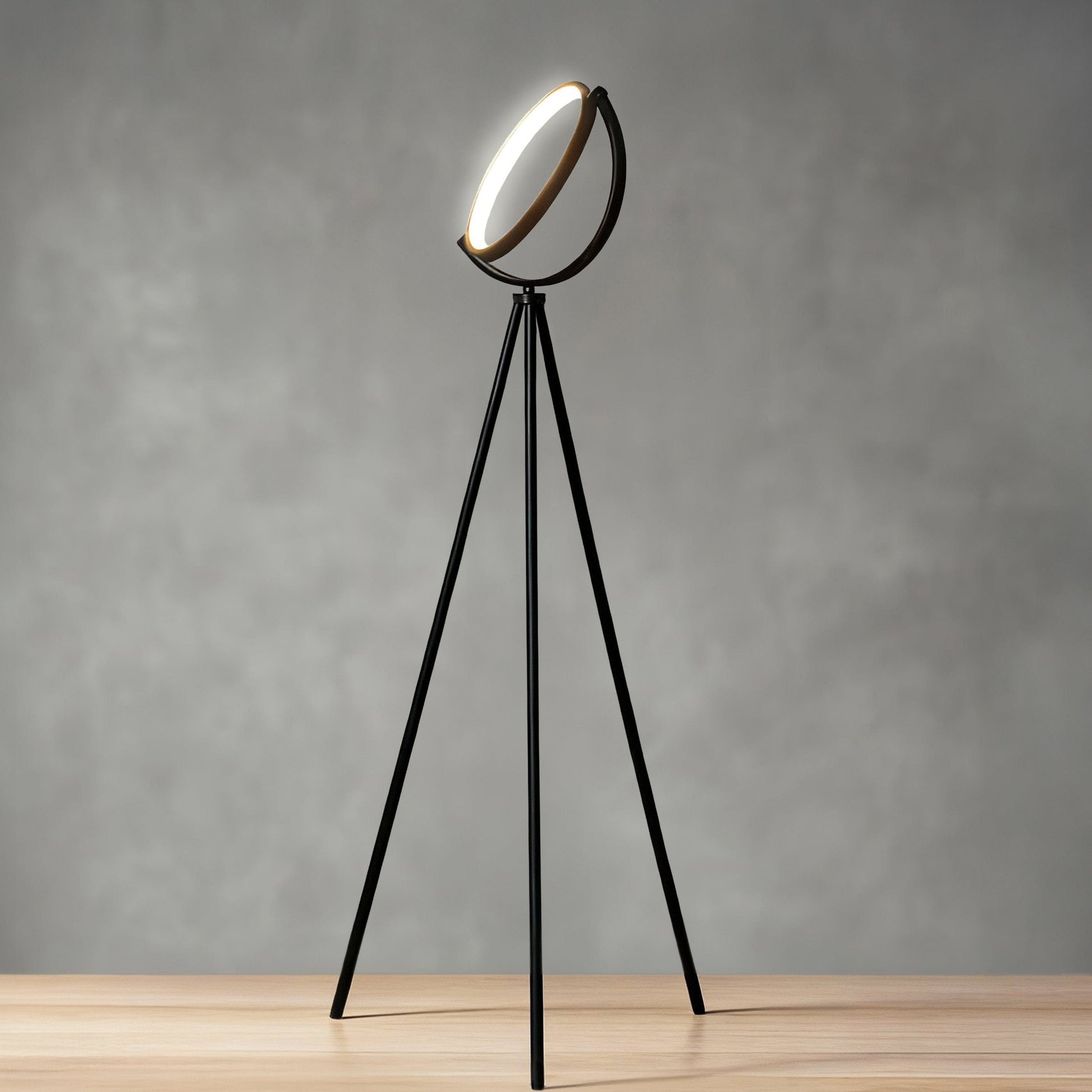 Moktan Sabai Modern LED Ring Floor Lamp AC Power