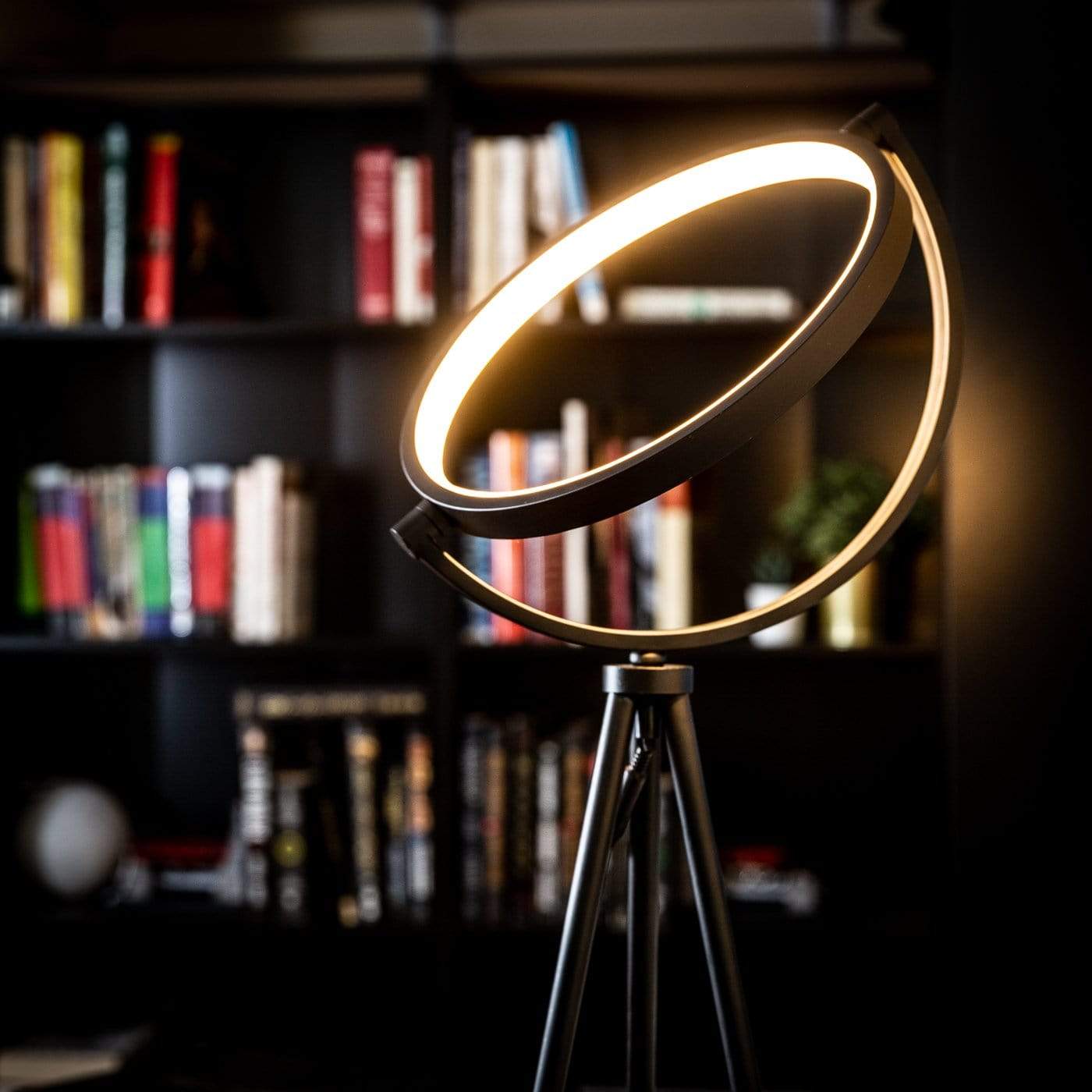 Moktan Sabai Modern LED Ring Floor Lamp