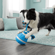 Moktan Sabai Interactive Dog Toy Motion Sensor Ball with Tug Rope Active Play Toy Blue