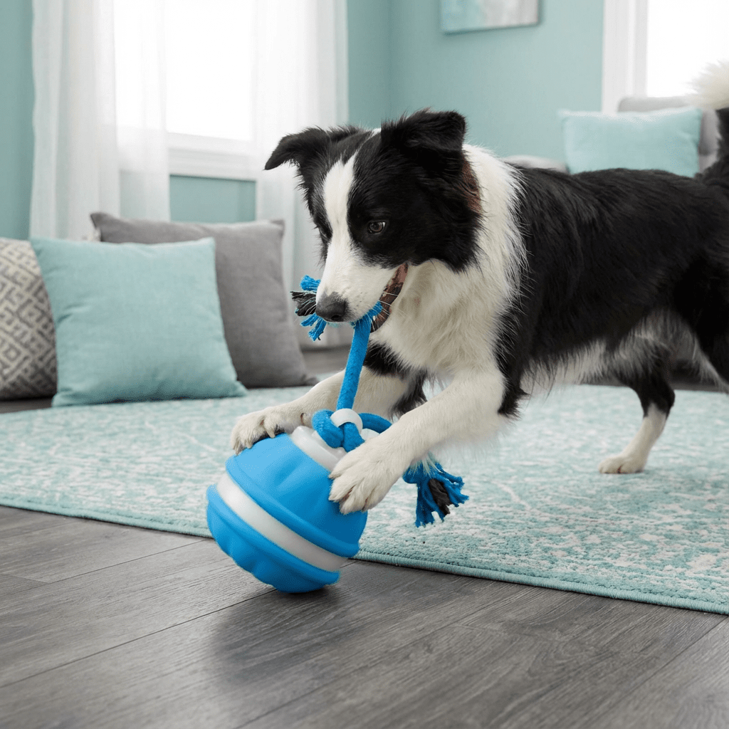 Moktan Sabai Interactive Dog Toy Motion Sensor Ball with Tug Rope Active Play Toy Blue