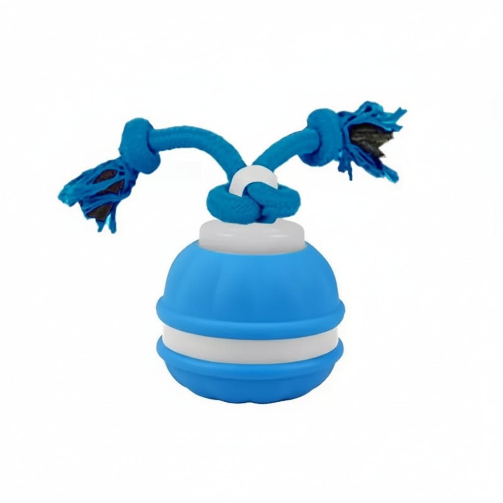 Moktan Sabai Interactive Dog Toy Motion Sensor Ball with Tug Rope Active Play Toy