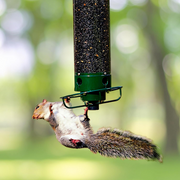 Moktan Sabai Squirrel Proof Bird Feeder Hanging Metal Wild Bird Seed Feeder 35cm Default