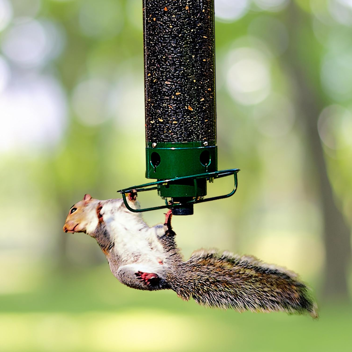 Moktan Sabai Squirrel Proof Bird Feeder Hanging Metal Wild Bird Seed Feeder 35cm Default