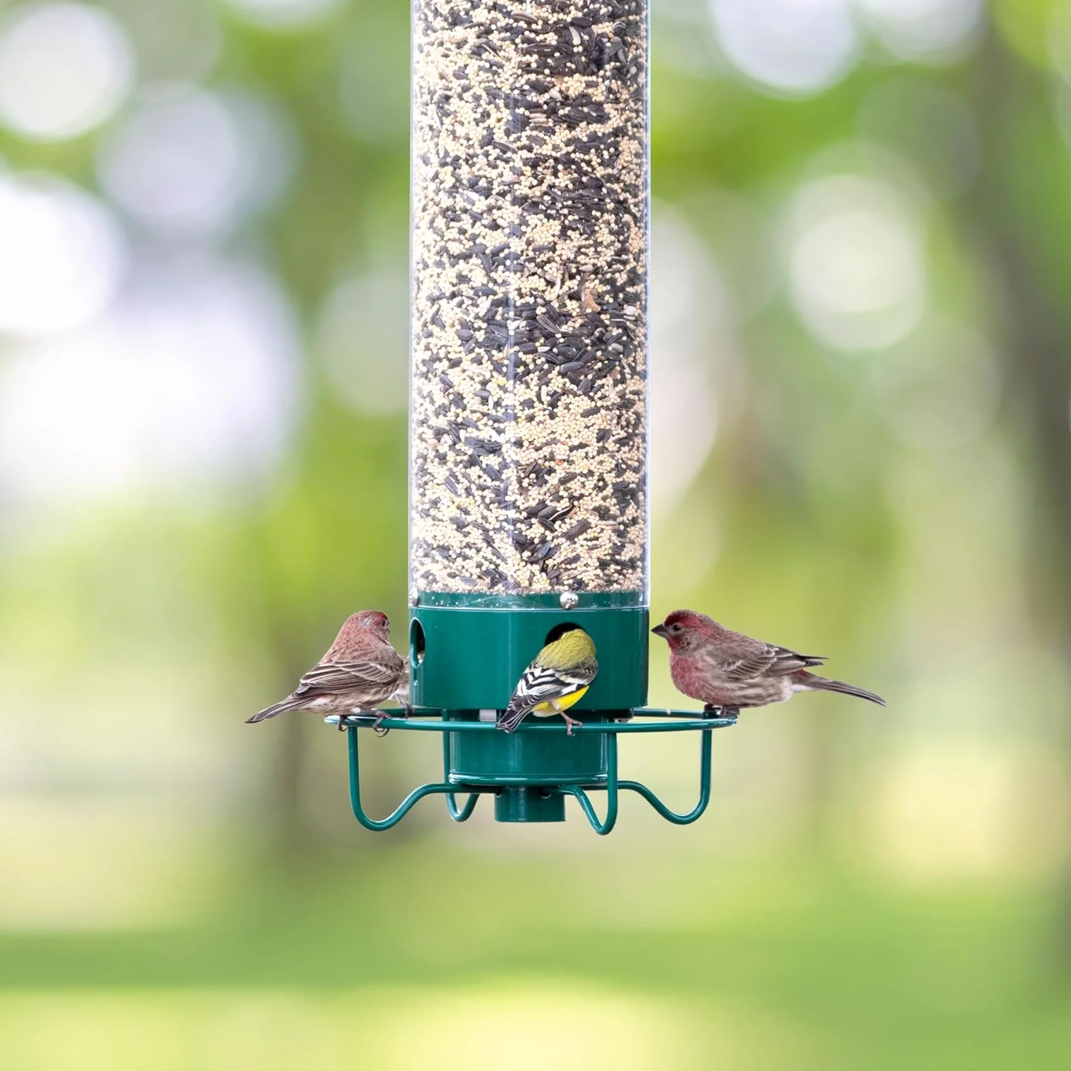 Moktan Sabai Squirrel Proof Bird Feeder Hanging Metal Wild Bird Seed Feeder 35cm