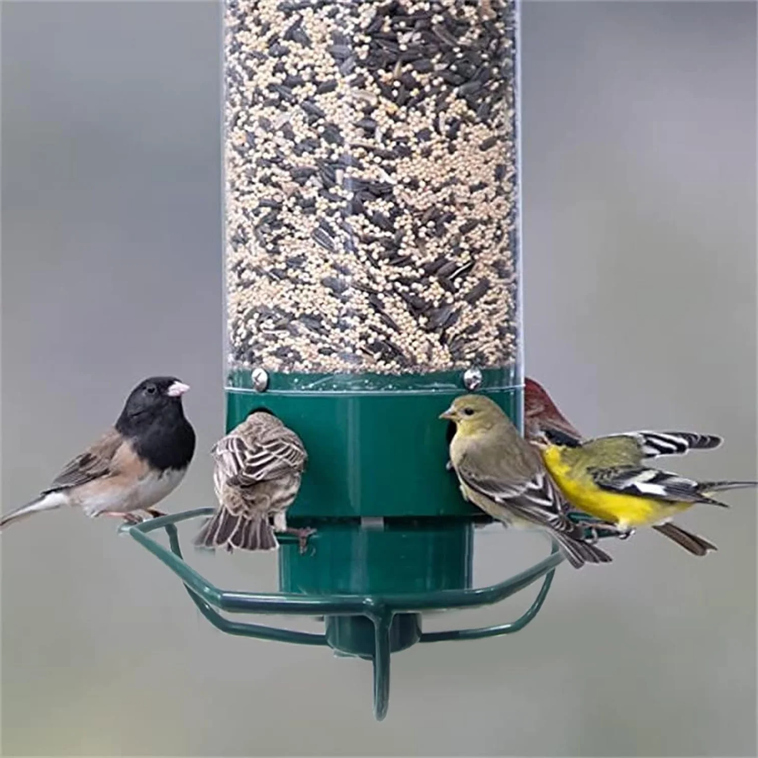 Moktan Sabai Squirrel Proof Bird Feeder Hanging Metal Wild Bird Seed Feeder 35cm