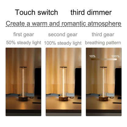Minimalist Touch Bedside Table Lamp Cordless LED Nightstand Light Dimmable