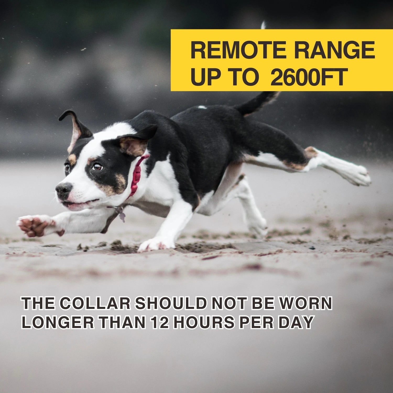 Moktan Sabai Dog Training Collar 800M Remote Waterproof Rechargeable No Bark Control Collar 2in1