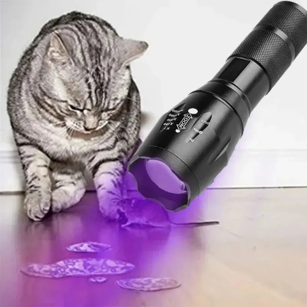 Moktan Sabai 2 in 1 UV Flashlight 395nm Type C Rechargeable Blacklight Pet Stain Detection