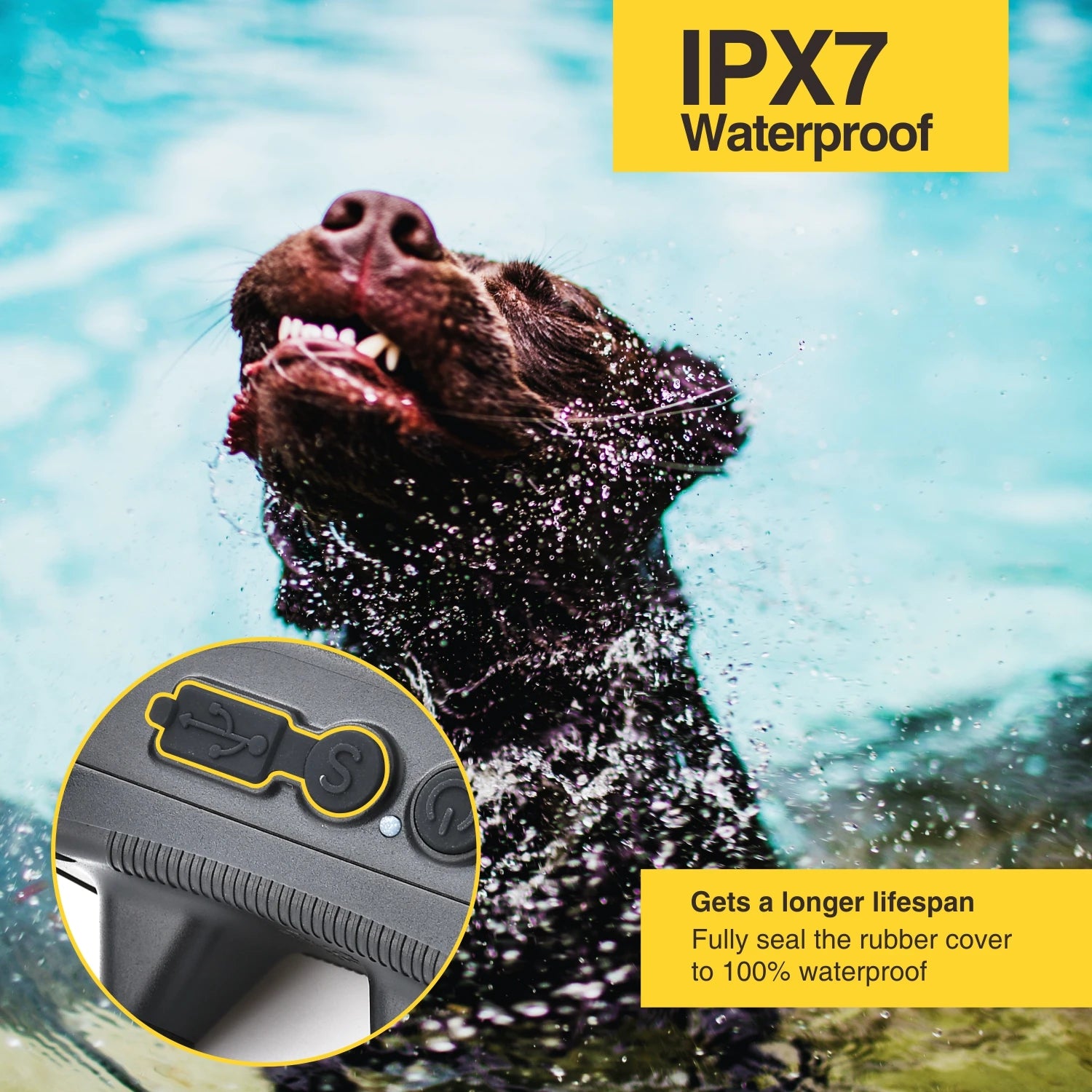 Moktan Sabai Dog Training Collar 800M Remote Waterproof Rechargeable No Bark Control Collar 2in1