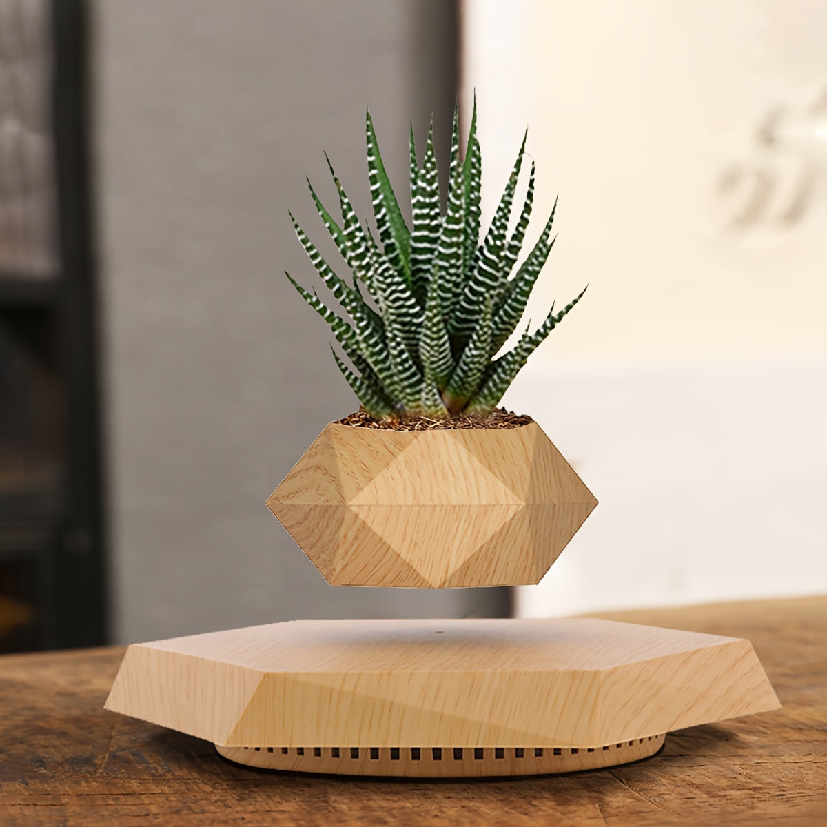 Moktan Sabai Magnetic Levitating Plant Pot – Rotating Floating Geometric Bonsai Planter Indoor