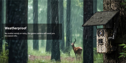4K Hunting Trail Camera with 4G Live View - Solar Powered, 0.2s Trigger & Auto Night Vision