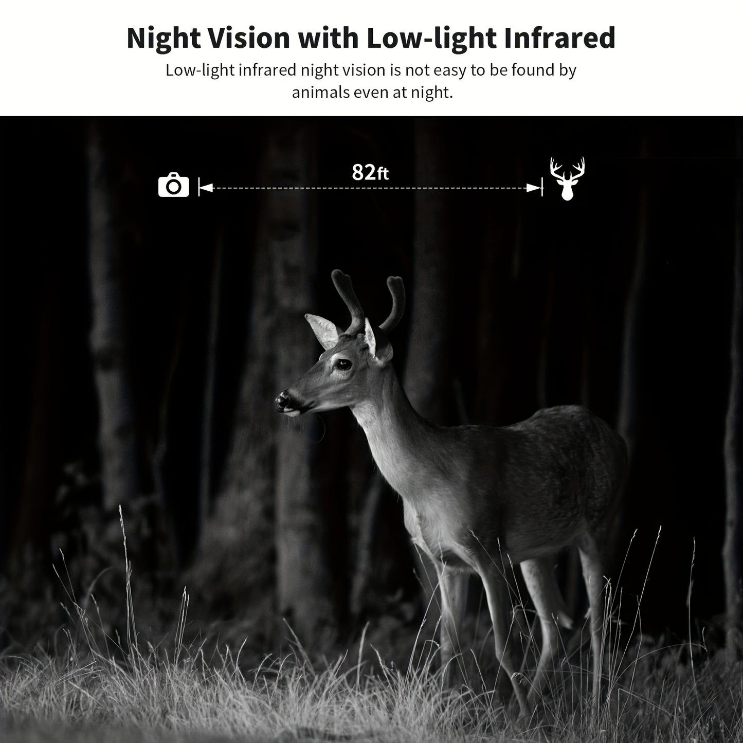 4K Hunting Trail Camera with 4G Live View - Solar Powered, 0.2s Trigger & Auto Night Vision