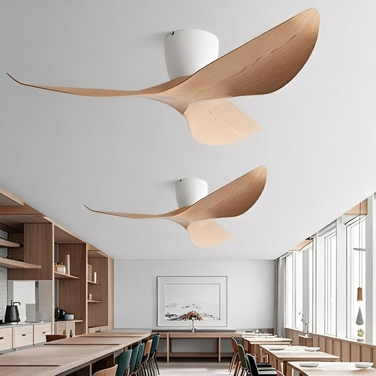 Moktan Sabai Modern DC Ceiling Fan 6-Speed Remote Reversible No Light