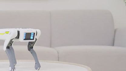 Smart Robot Dog with Voice Commands - Programmable Tech Toy for Kids